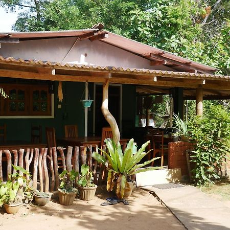 Pidurangala View Home Stay Sigiriya Exterior photo