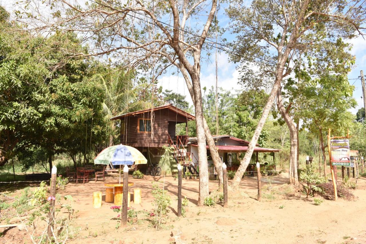 Pidurangala View Home Stay Sigiriya Exterior photo