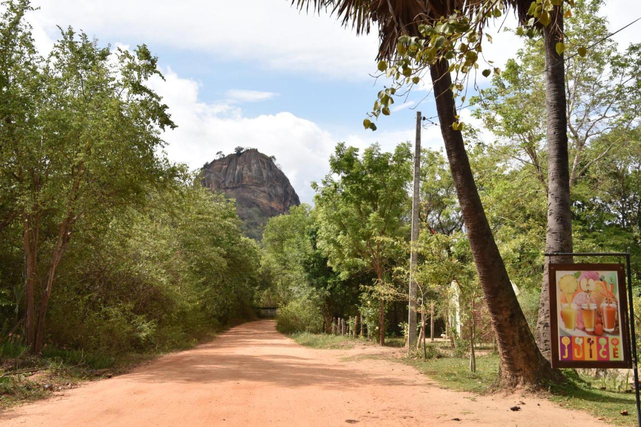 Pidurangala View Home Stay Sigiriya Exterior photo